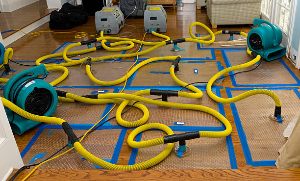 Professional Water Damage Restoration technician working in Mayesville, SC